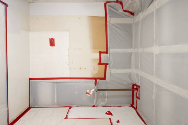 Best Mold Documentation for Insurance Claims  in Flanders, NJ