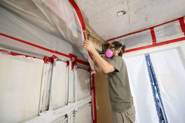 Best Asbestos and Lead Testing During Mold Inspection  in Flanders, NJ