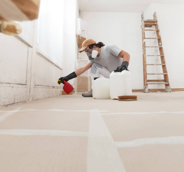 Best Mold Odor Removal Services  in Flanders, NJ