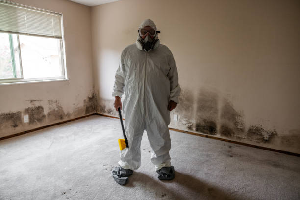 Best Mold Prevention Services  in Flanders, NJ